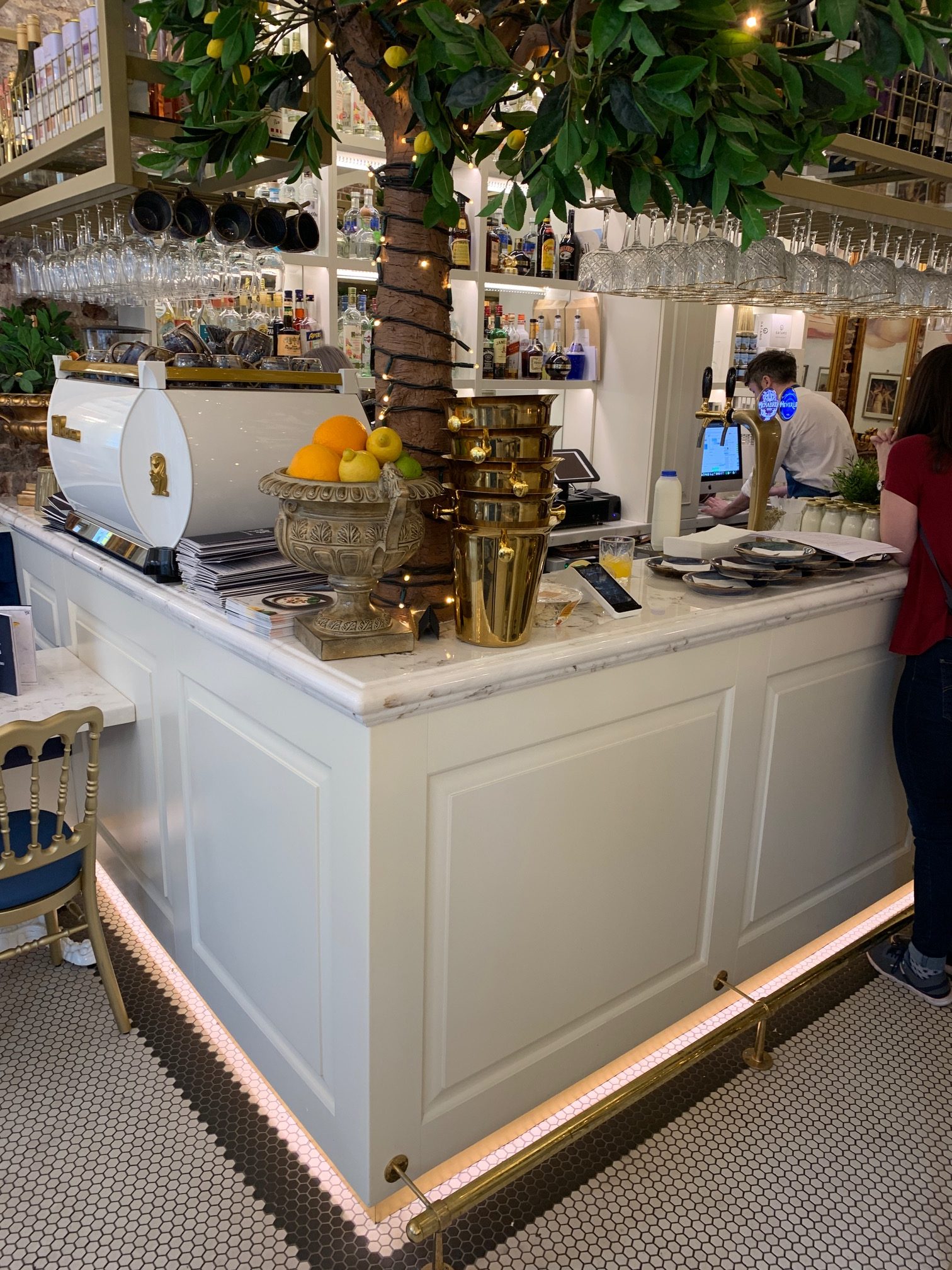 Working bar with Marble and gold bar top and lemon tree