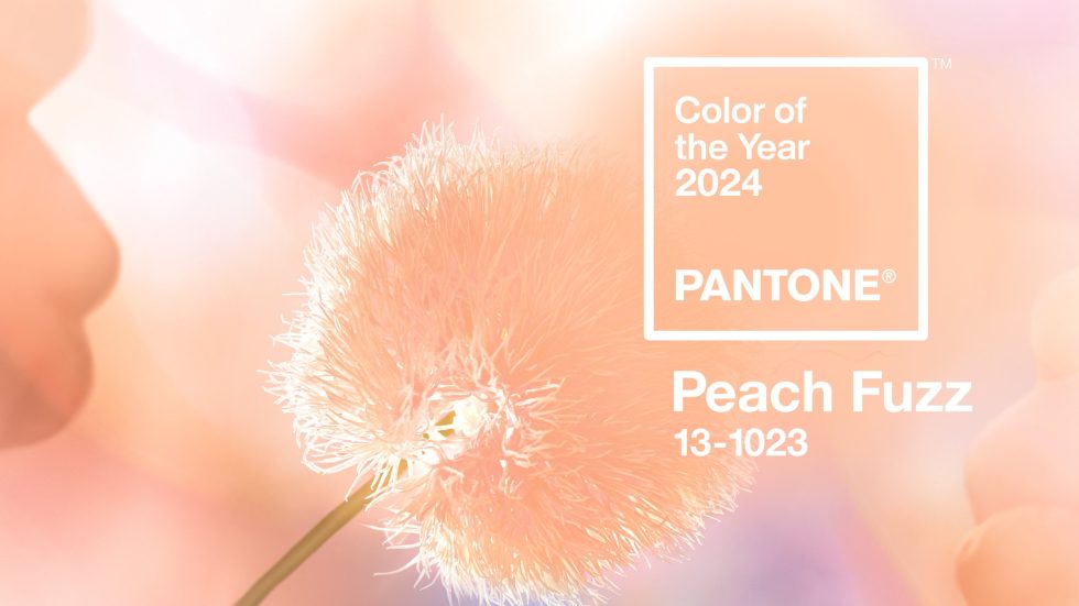 Pantone colour of the year 2024 Peach Fuzz